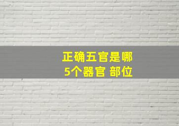 正确五官是哪5个器官 部位